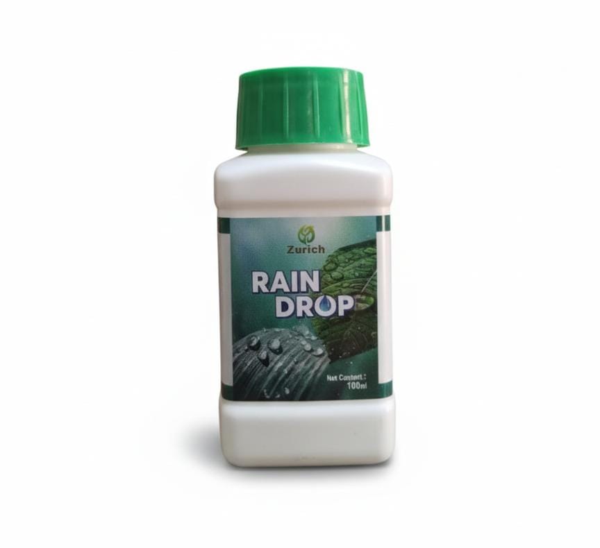 Rain Drop